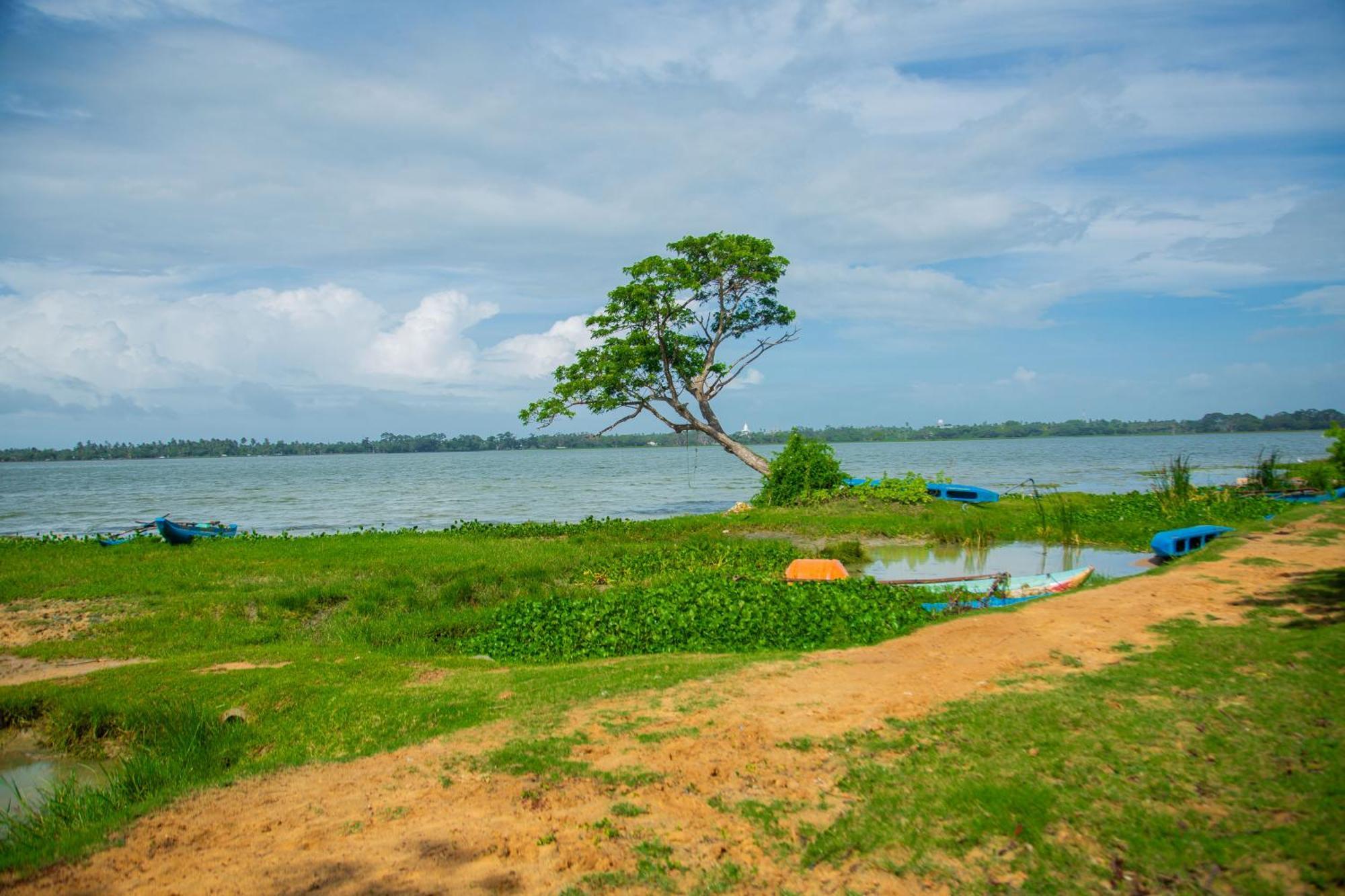 Lake Scape Yala Safari Inn Tissamaharama Exterior photo