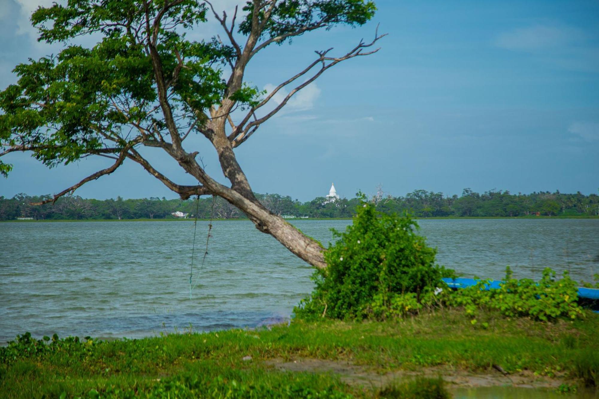 Lake Scape Yala Safari Inn Tissamaharama Exterior photo