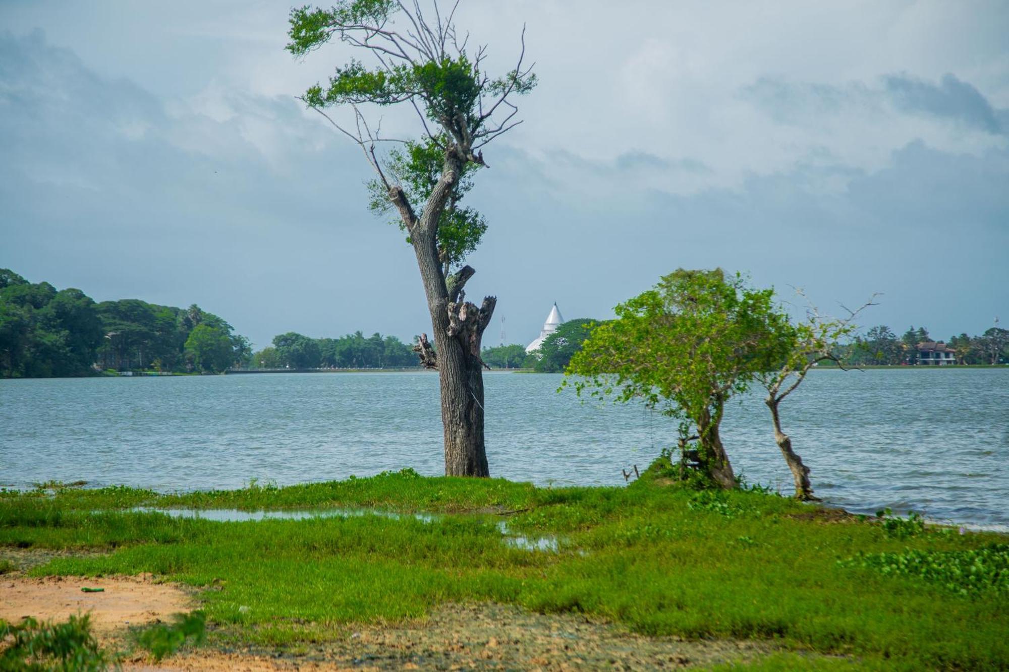 Lake Scape Yala Safari Inn Tissamaharama Exterior photo