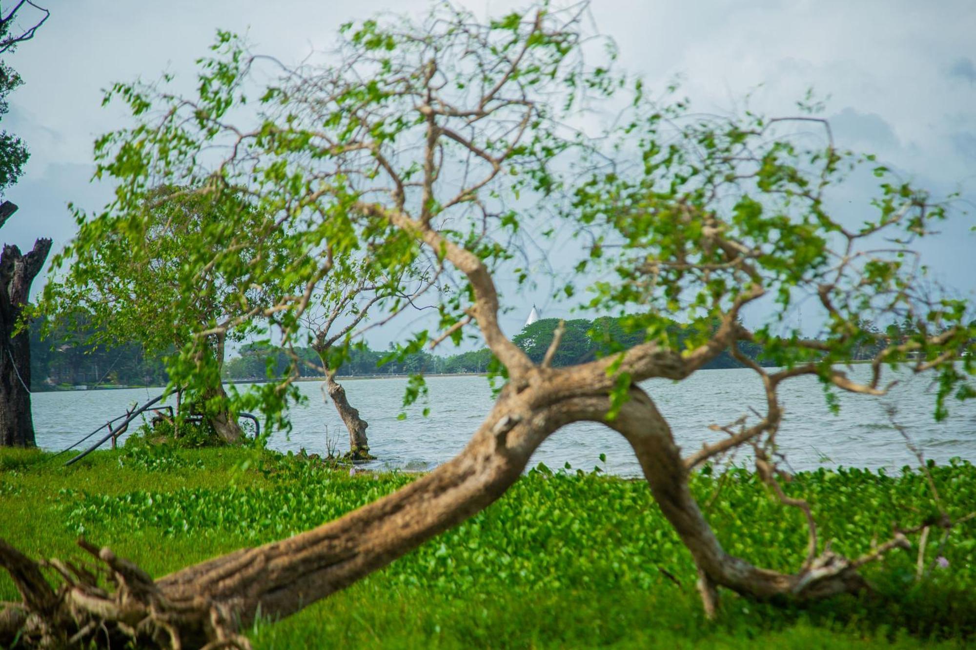 Lake Scape Yala Safari Inn Tissamaharama Exterior photo